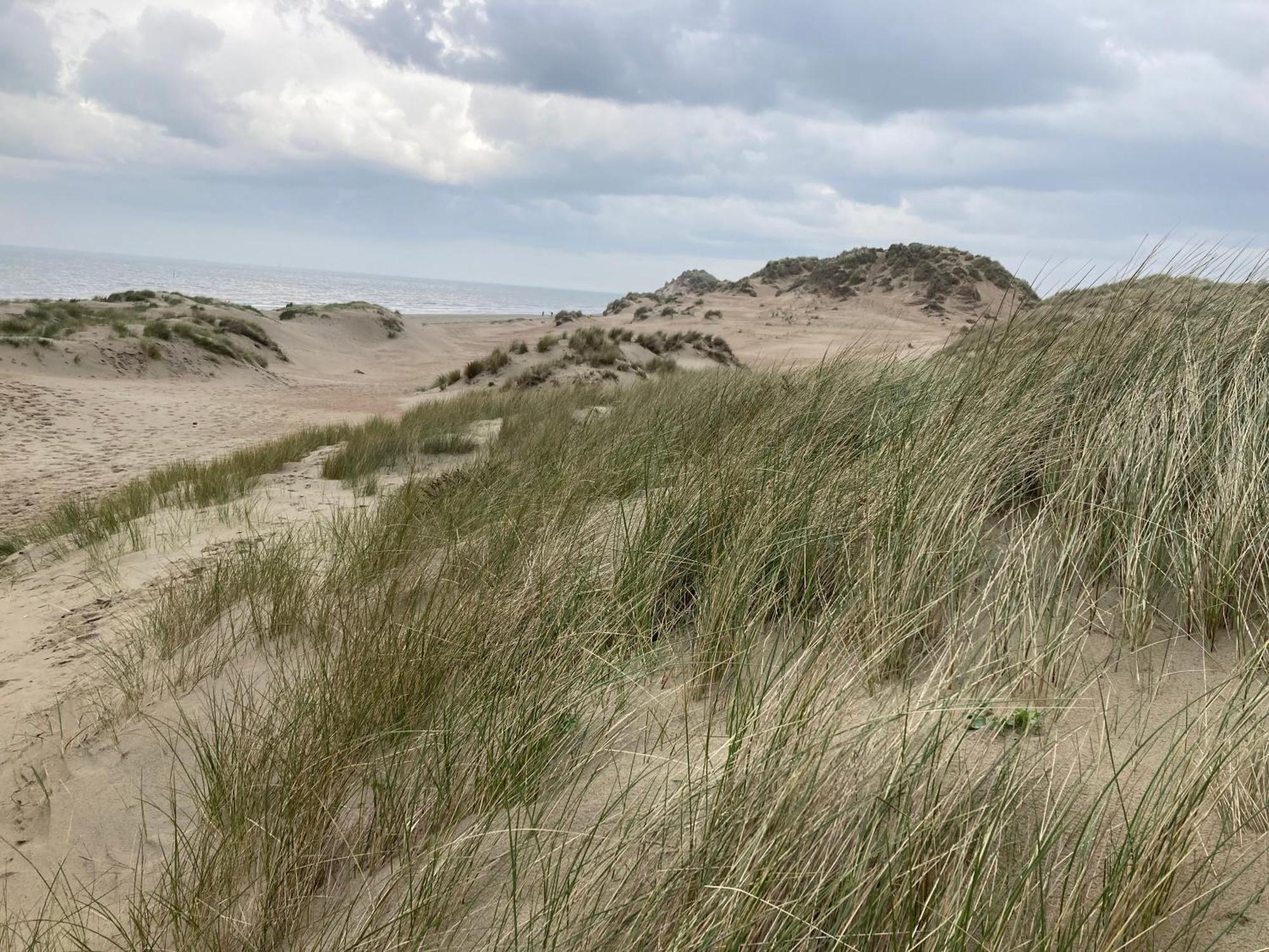 Terduinen Vila Oostduinkerke Exterior foto
